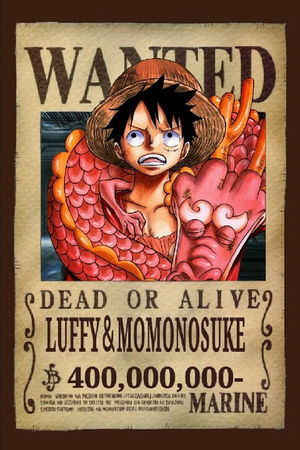 One Piece ワンピース の登場人物 キャラクターのプロフィールまとめ Renote リノート