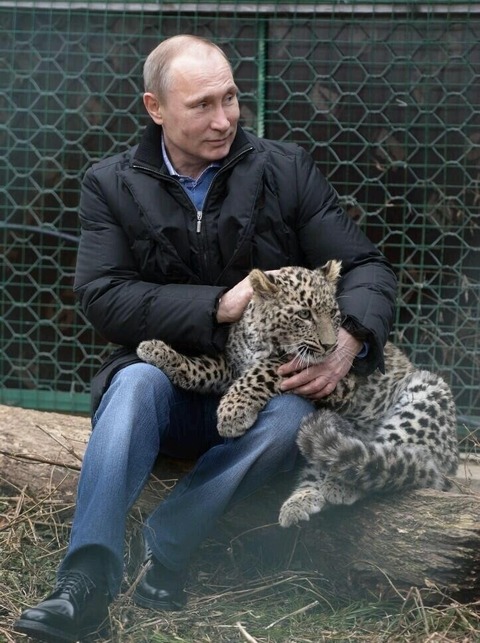 プーチン かっこいい